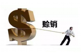 凤泉融资清欠服务