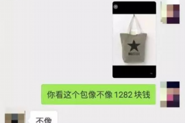 凤泉企业清欠服务